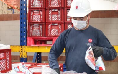 Alquería, Fundación ANDI y la ANR se unen para mejorar la calidad del reciclaje