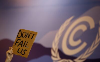 Siete logros, ocho problemas y una gran decepción que deja la COP27 de Egipto