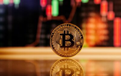 ¿Pueden las criptomonedas sobrevivir a su último gran invierno?