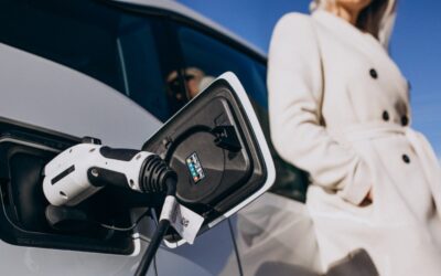 BYD, Zhidou, Dongfeng, BMW y Mini, las marcas que más venden vehículos eléctricos