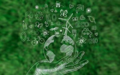 Sostenibilidad, una forma de marcar la diferencia
