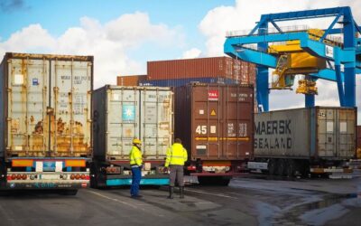 En Julio cayeron las exportaciones del país
