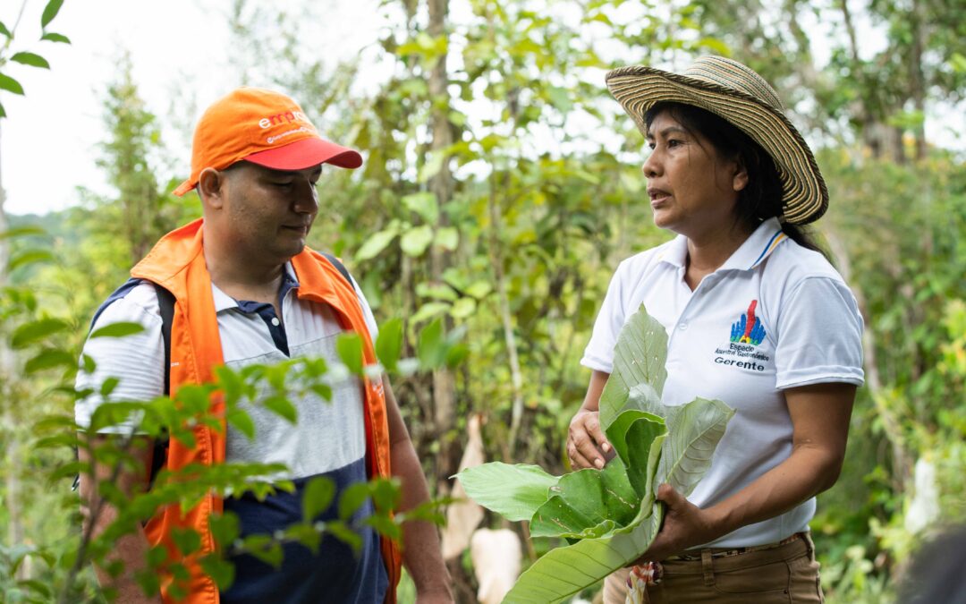 Bancamía, finalista del Premio P3 Impact 2023 por su programa de apoyo al emprendimiento en zonas de conflicto