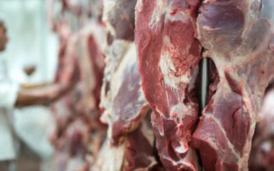 Todo listo para que Colombia inicie el 2024 exportando carne a China