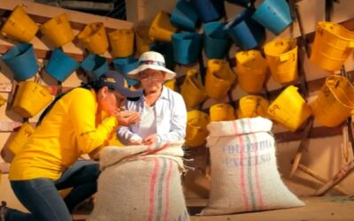 La Revolución Geoespacial: Cómo la Tecnología Protege los Cultivos de Café en Colombia