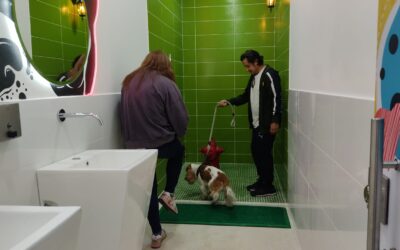 Plaza Imperial revoluciona la experiencia comercial con la inauguración del primer baño para mascotas en centros comerciales de Colombia