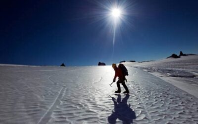 Explorando los Avances Científicos: La Décima Expedición Antártica Colombiana Revela sus Proyectos de Investigación