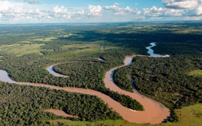 Parque Nacional Natural Serranía: Joya Ecológica de Colombia Reconocida en The New York Times