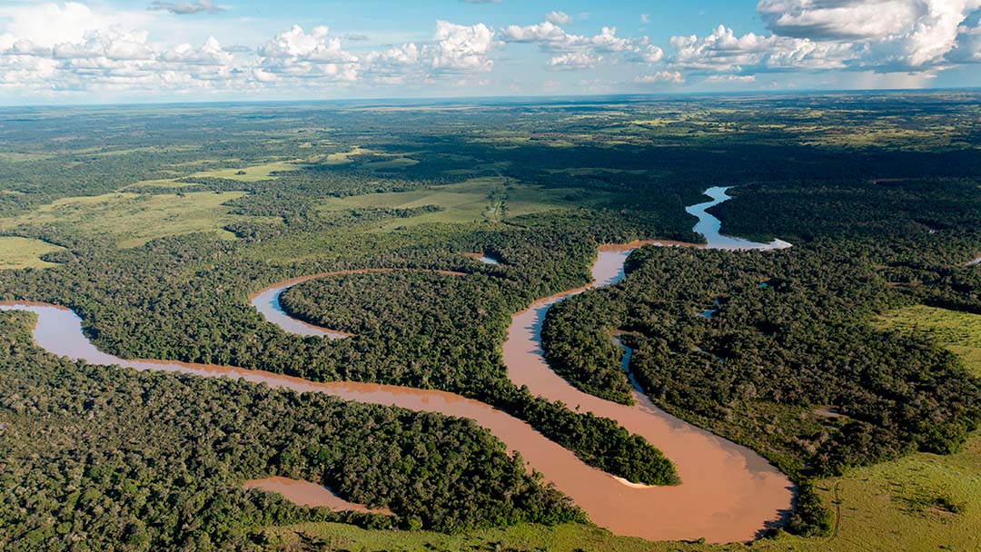 Parque Nacional Natural Serranía: Joya Ecológica de Colombia Reconocida en The New York Times