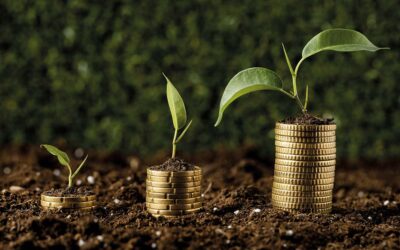 Fenómeno del Niño y Crecimiento: Perspectivas Económicas de Febrero