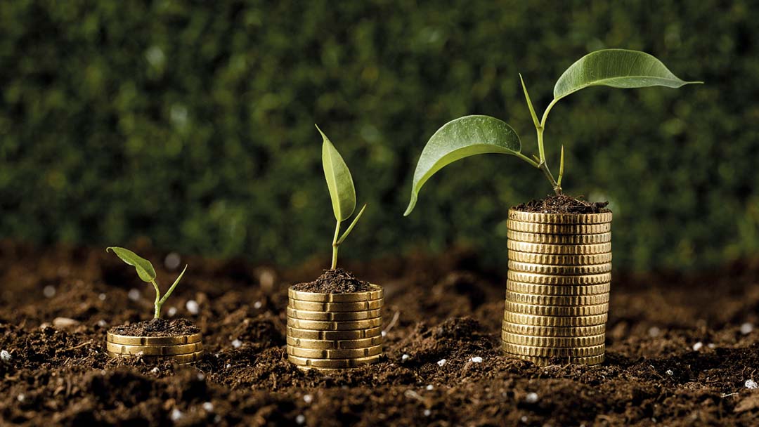 Fenómeno del Niño y Crecimiento: Perspectivas Económicas de Febrero