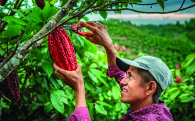 Compañía Nacional de Chocolates se une a programa que promueve solución concreta contra el cambio climático