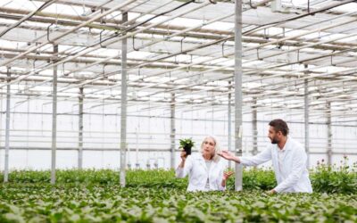 Transformación sostenible del agro en Colombia con agricultura regenerativa