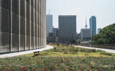 Empresa lidera la Responsabilidad Social Empresarial en el sector de la construcción
