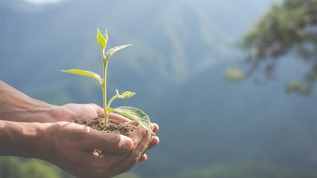 Colombia actualiza proceso sancionatorio ambiental tras quince años