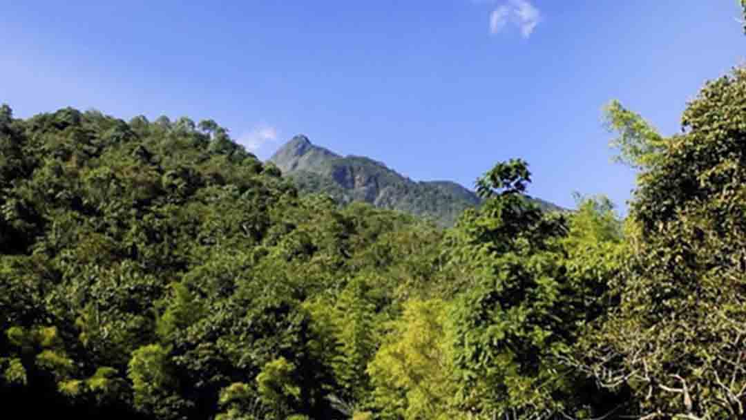 Impacto Económico y Cultural de la COP16 en Cali: Un Éxito Global de Biodiversidad
