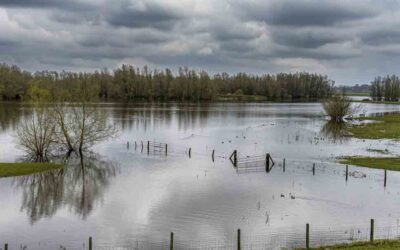 Entre sequías e inundaciones: influencia de La Niña y El Niño en los patrones de lluvia en Colombia