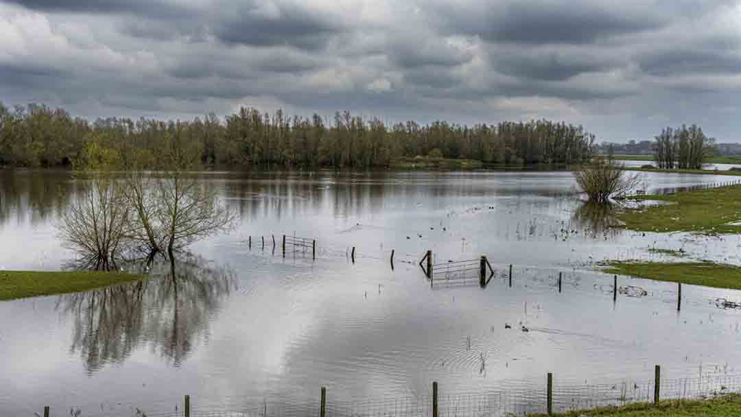 Entre sequías e inundaciones: influencia de La Niña y El Niño en los patrones de lluvia en Colombia
