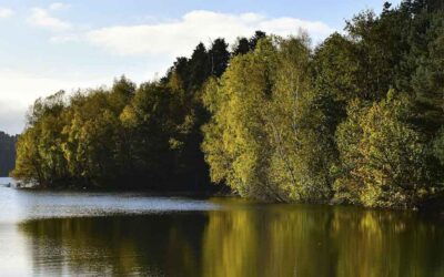 COP 16: El evento que encendió la conversación global sobre biodiversidad y política en Colombia