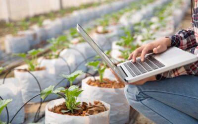 La seguridad alimentaria en manos de la innovación
