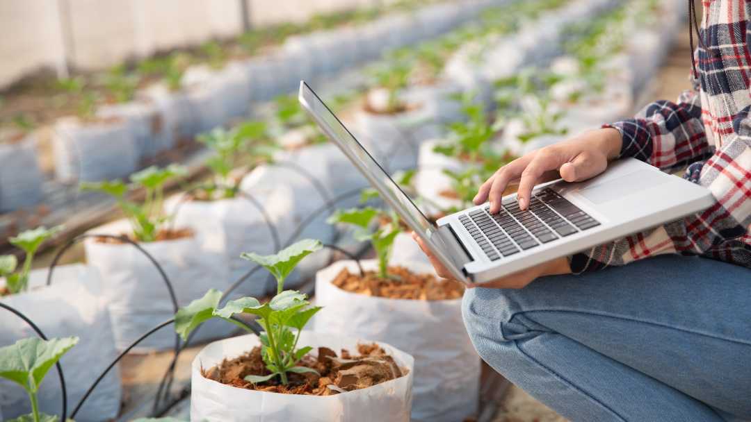 La seguridad alimentaria en manos de la innovación