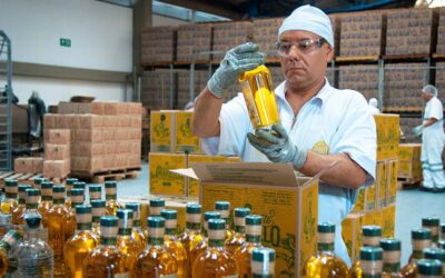 Industria Licorera de Caldas logra cifras récord en ventas que impulsan aumento de 28,6% en su utilidad neta a noviembre de 2024