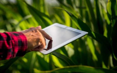 Tres innovaciones que transformarán el futuro agroalimentario en el Valle del Cauca