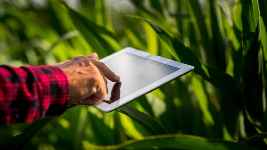 Tres innovaciones que transformarán el futuro agroalimentario en el Valle del Cauca