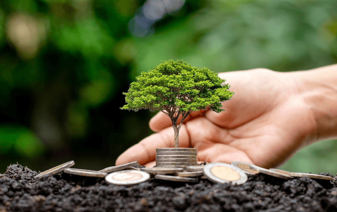 ECONOMÍA CIRCULAR