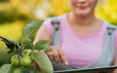 Emprendimientos colombianos recibieron 40 millones de dólares en 2024
