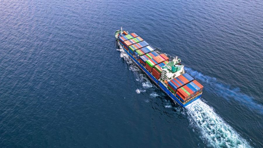 Exportaciones de pescado en Colombia crecieron en enero de 2025, impulsando la industria pesquera