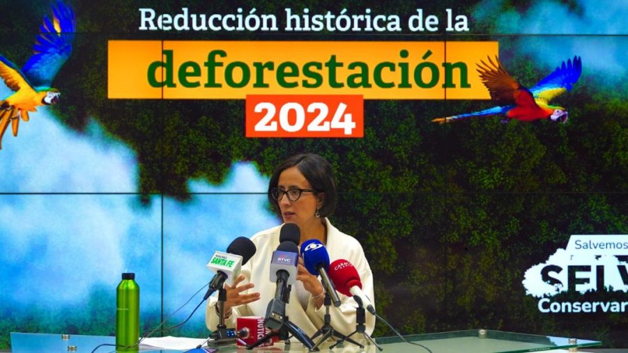 Colombia logra una reducción del 40% en la deforestación y avanza en la protección de sus bosques