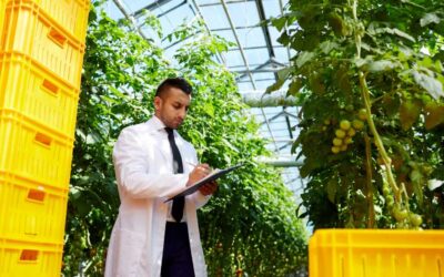 Retos y oportunidades para la industria agroalimentaria en Colombia en 2025