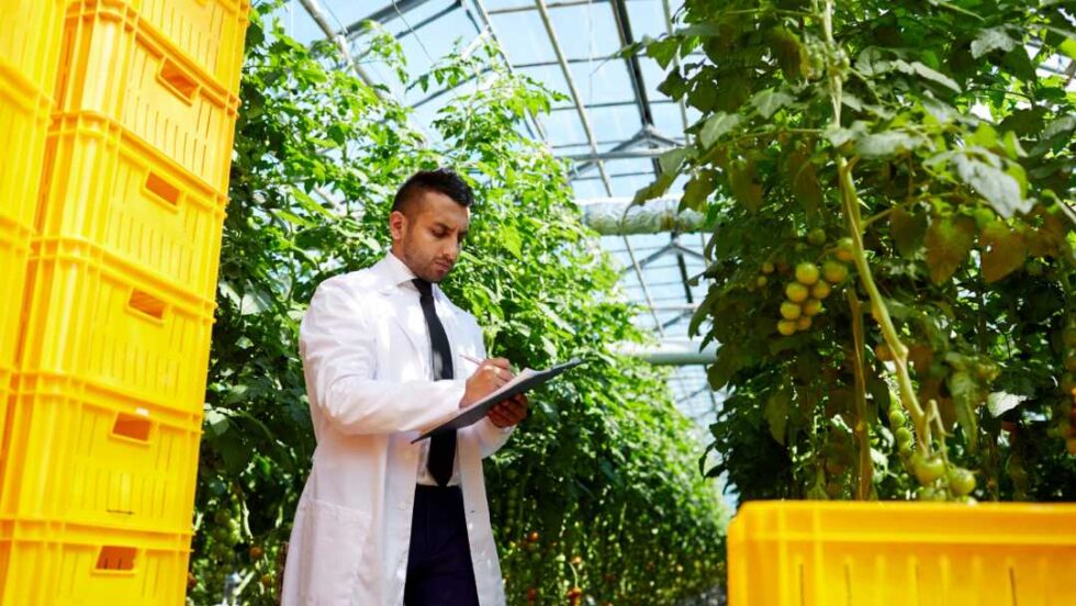 Retos y oportunidades para la industria agroalimentaria en Colombia en ...