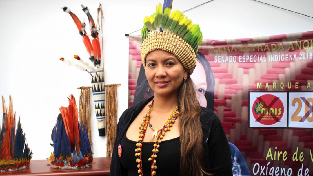 Lena Estrada Añokazi, primera ministra indígena de Ambiente en Colombia