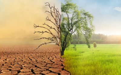 Comunidades indígenas Wayuu enfrentan crisis climática en el norte de Colombia