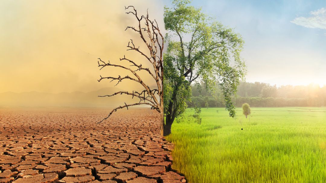 Comunidades indígenas Wayuu enfrentan crisis climática en el norte de Colombia