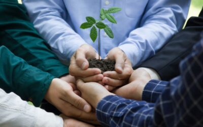 UNESCO y Nestlé buscan jóvenes colombianos para impulsar soluciones sostenibles en sistemas alimentarios