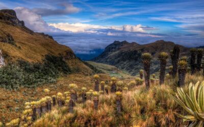 Tasco, un modelo de gestión del agua en medio de la crisis hídrica en Colombia