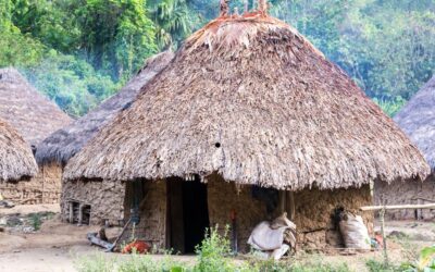 Recorte de fondos de EE.UU. afecta a ONG afrocolombianas e indígenas y genera tensiones diplomáticas