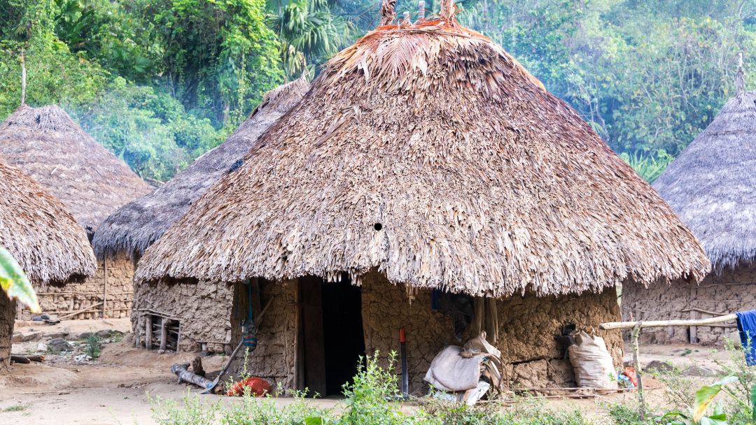 Recorte de fondos de EE.UU. afecta a ONG afrocolombianas e indígenas y genera tensiones diplomáticas