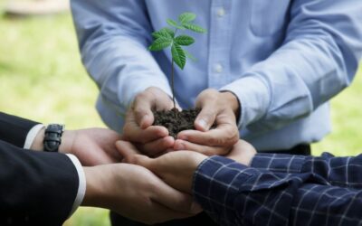 Catatumbo será epicentro de inversión ambiental: se abre convocatoria por más de $38.000 millones