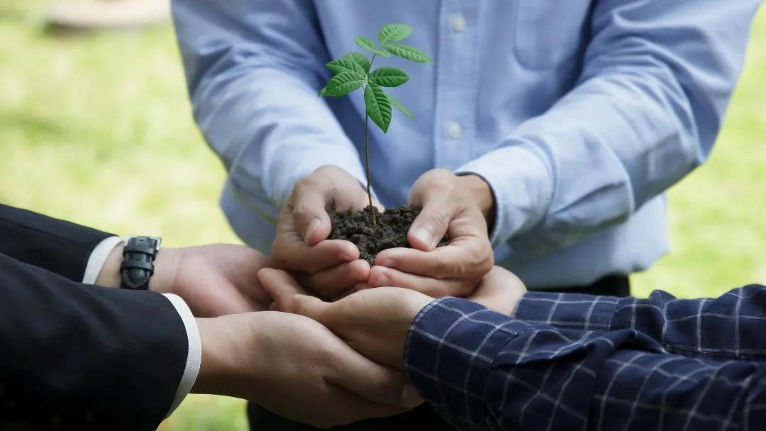 Catatumbo será epicentro de inversión ambiental: se abre convocatoria por  más de $38.000 millones - Gestión&Negocios