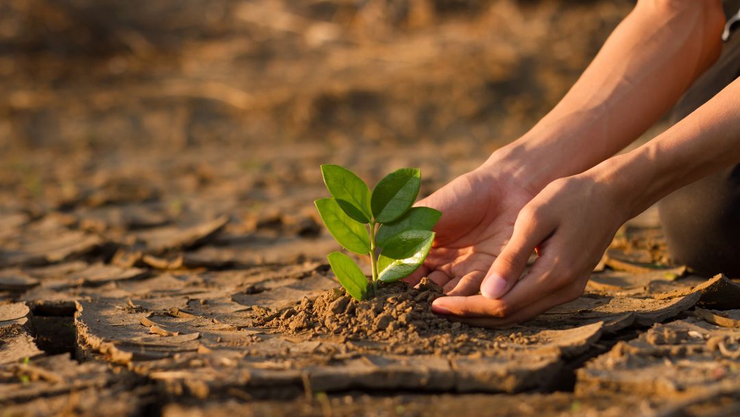 El costo económico de la crisis climática: ¿quién está pagando la factura?