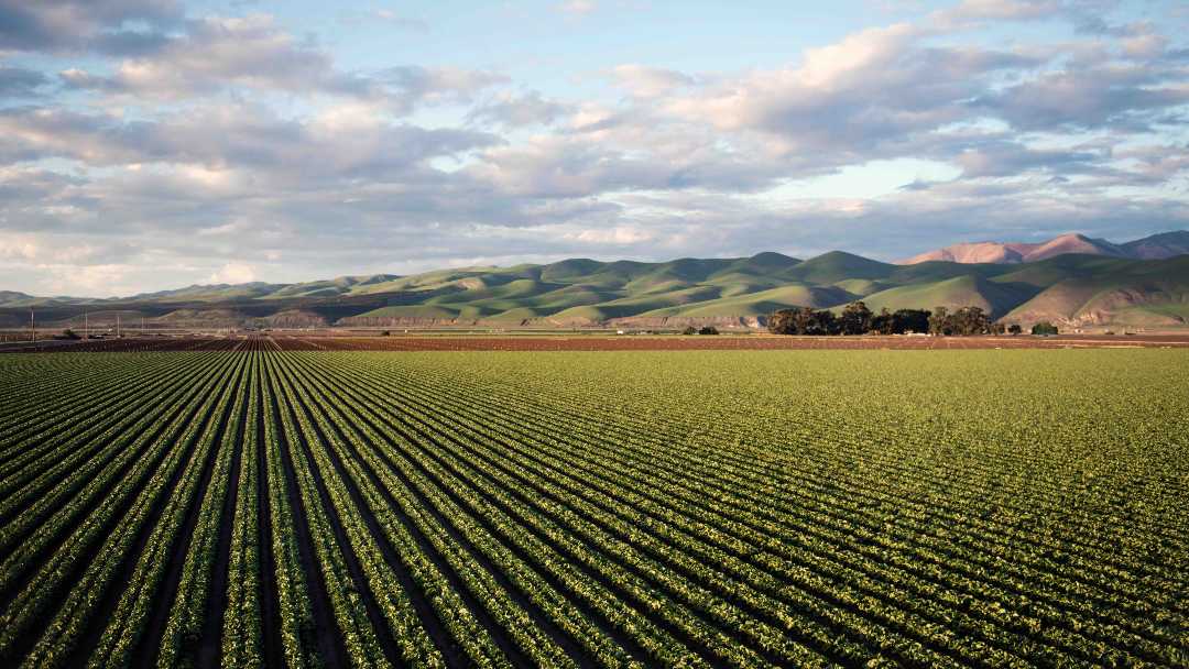 Nace programa de aceleración destinado a fortalecer el ecosistema agroalimentario en España y América Latina