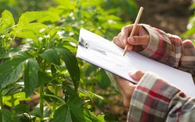 Startups tecnológicas colombianas apuestan por inteligencia artificial para transformar el agro