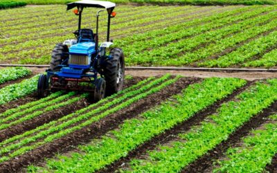 Gobierno del Valle y gremios se unen para abrir mercado en Alemania a productos antioqueños