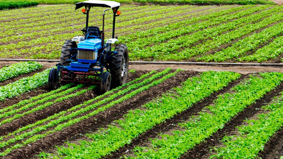Gobierno del Valle y gremios se unen para abrir mercado en Alemania a productos antioqueños