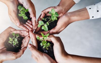 CAF aprueba crédito por USD 350 millones para acción climática en Colombia