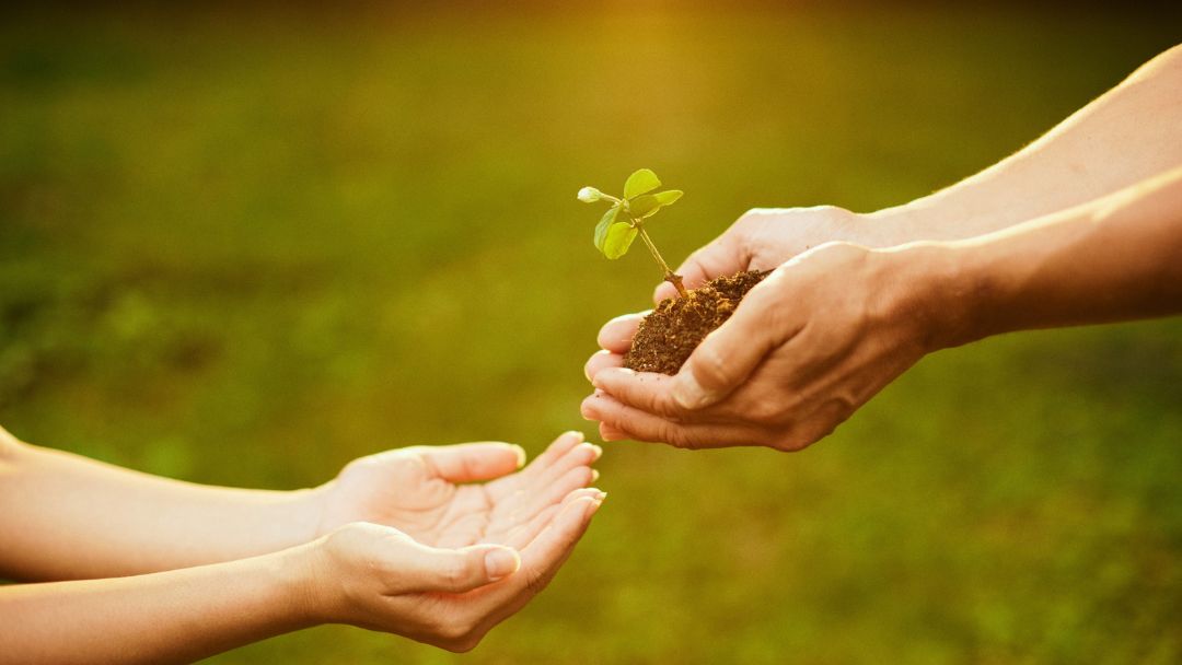 Bogotá celebra 20 años de la Semana Ambiental con más de 100 actividades educativas y culturales